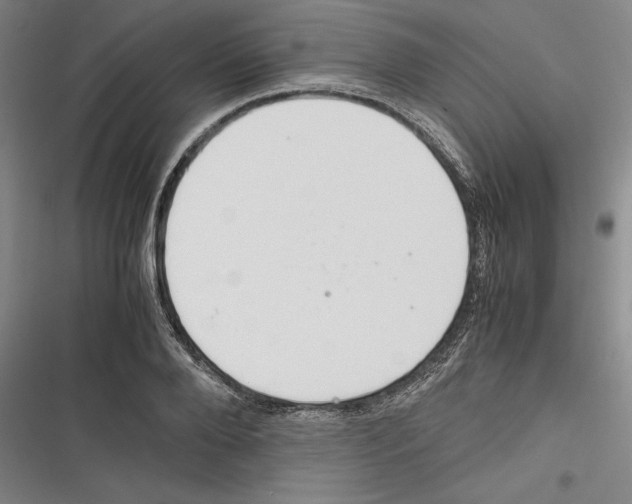 X0000116260888201001110951