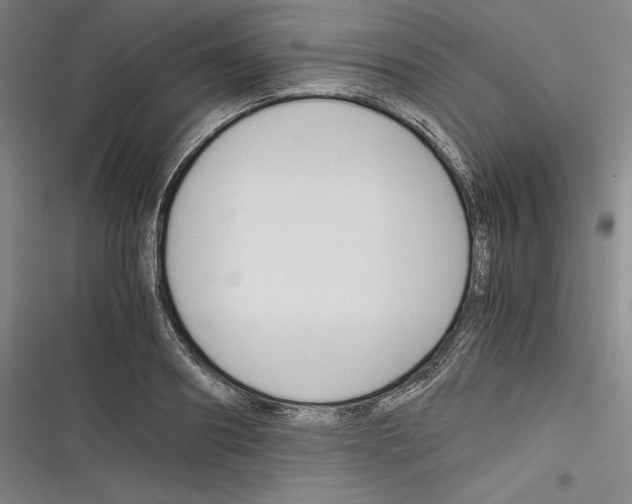 X0000116260890201001110951
