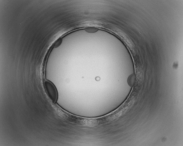X0000116260893201001110951
