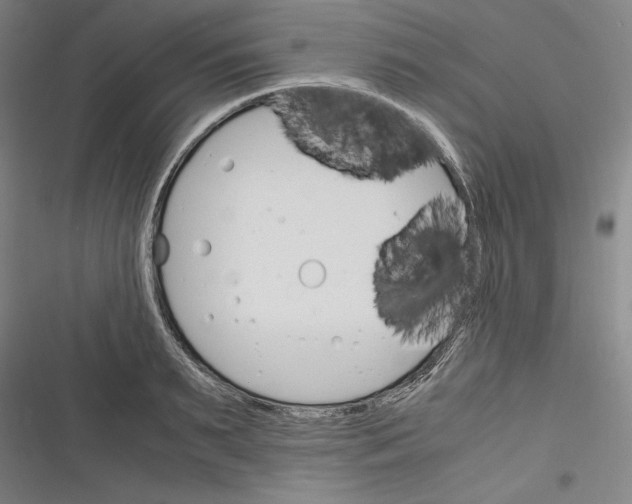 X0000116260895201001110951