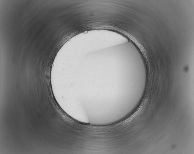 X0000116260897201001110951