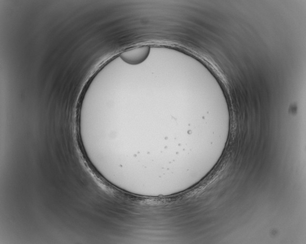 X0000116260898201001110951
