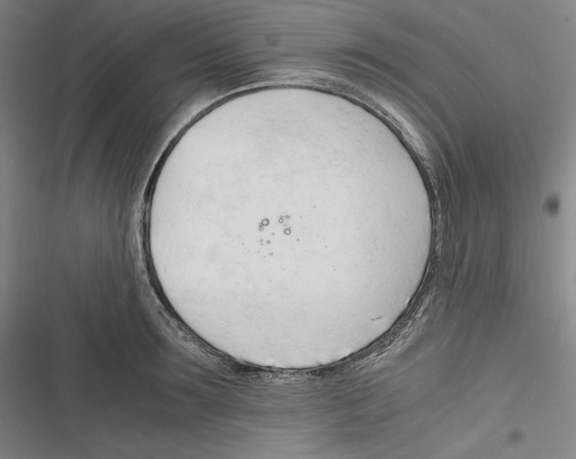 X0000116260899201001110951