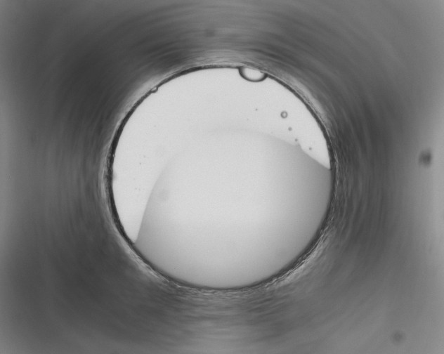 X0000116260901201001110951