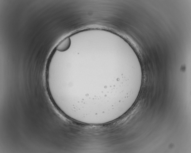 X0000116260902201001110951