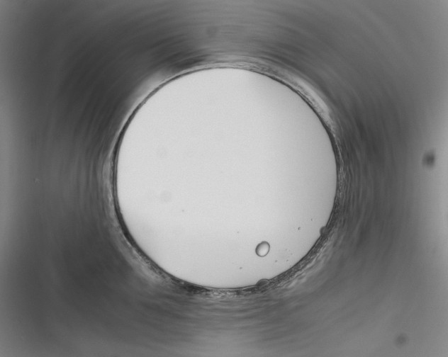 X0000116260907201001110951