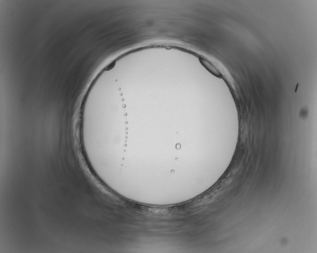 X0000116260911201001110951