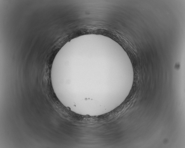 X0000116260914201001110950