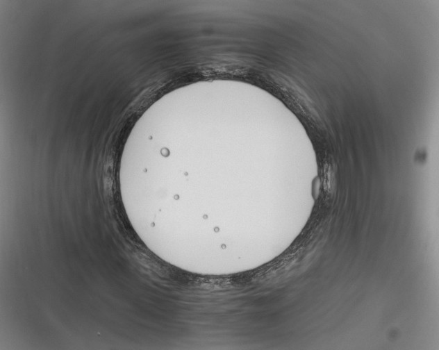 X0000116260915201001110950