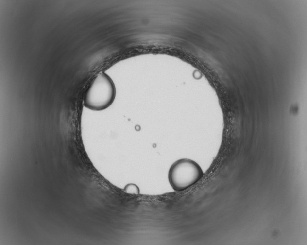 X0000116260918201001110950