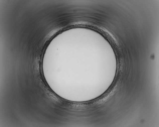 X0000116260921201001110950
