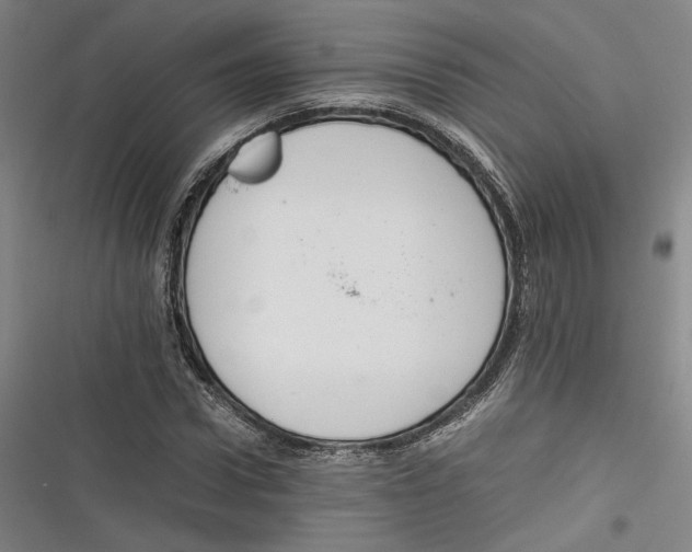 X0000116260922201001110950