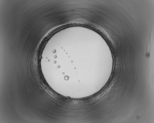 X0000116260923201001110950