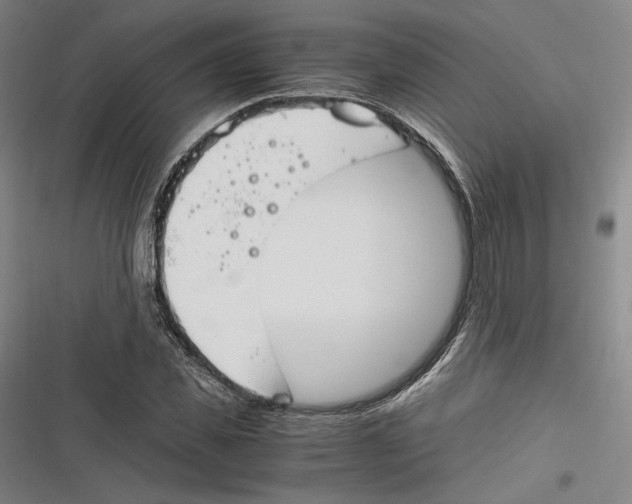 X0000116260925201001110950