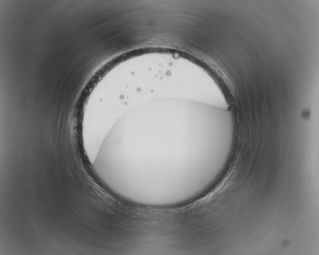 X0000116260926201001110950