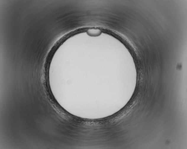 X0000116260927201001110950