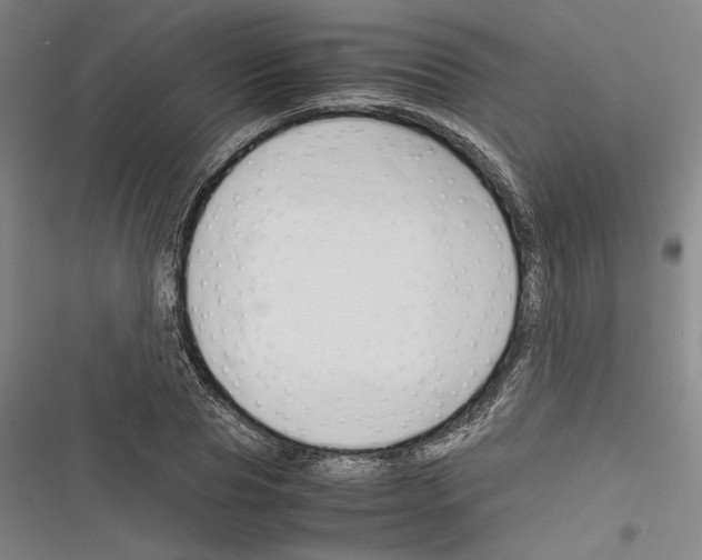 X0000116260929201001110950