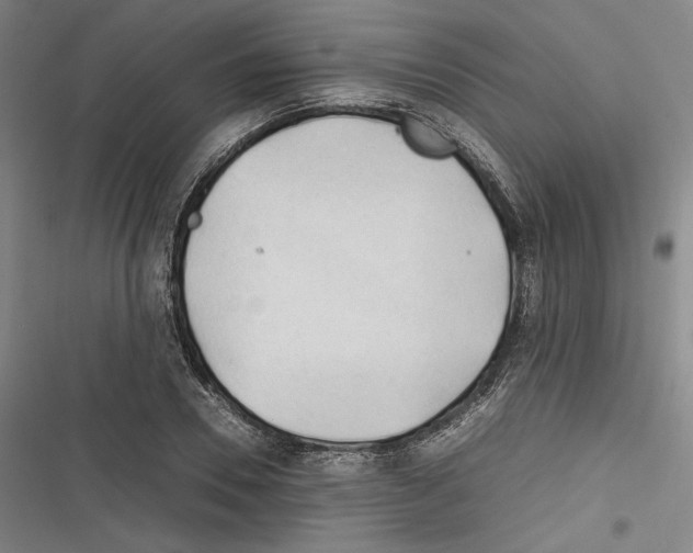 X0000116260930201001110950