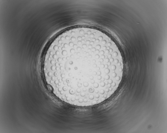 X0000116260931201001110950
