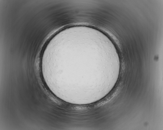 X0000116260933201001110950