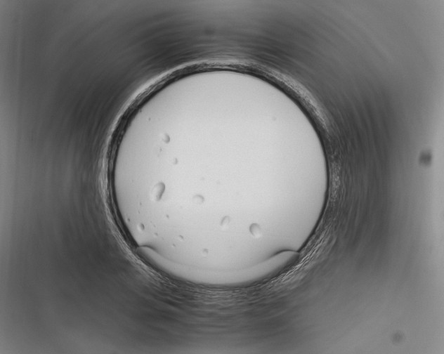 X0000116260935201001110950