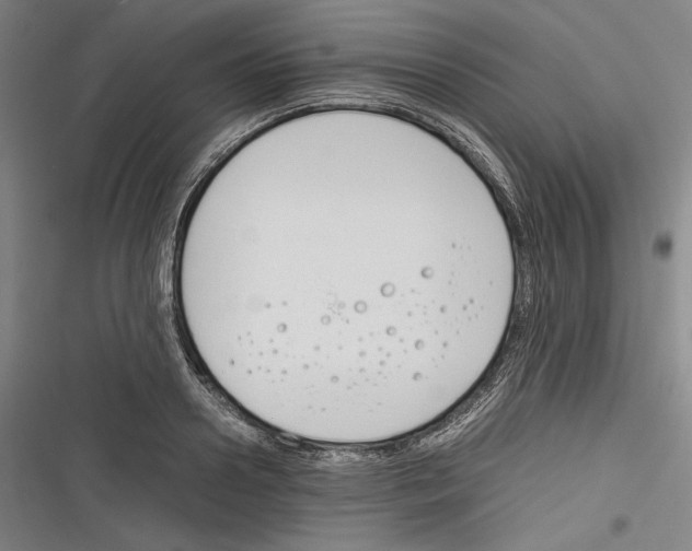 X0000116260938201001110950