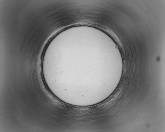 X0000116260939201001110950