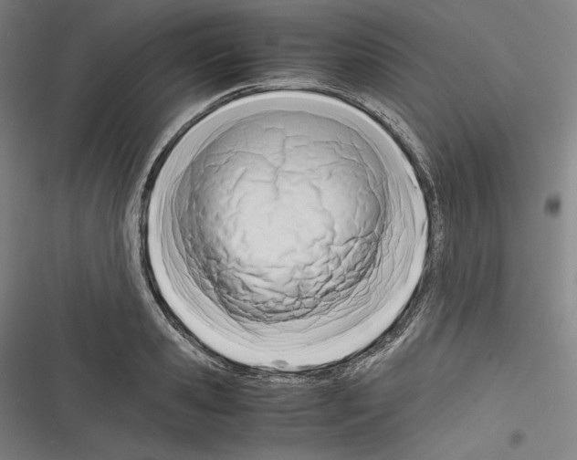 X0000116260941201001110950