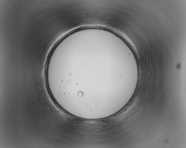 X0000116260943201001110950