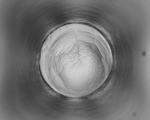 X0000116260945201001110950