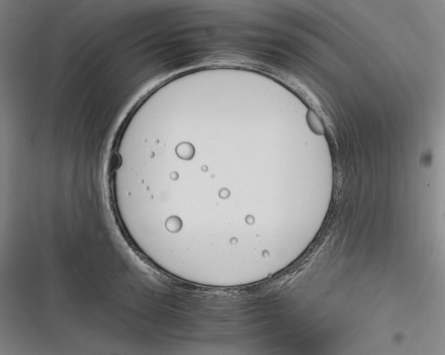 X0000116260947201001110950