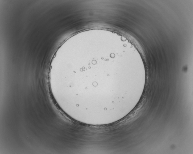 X0000116260954201001110951