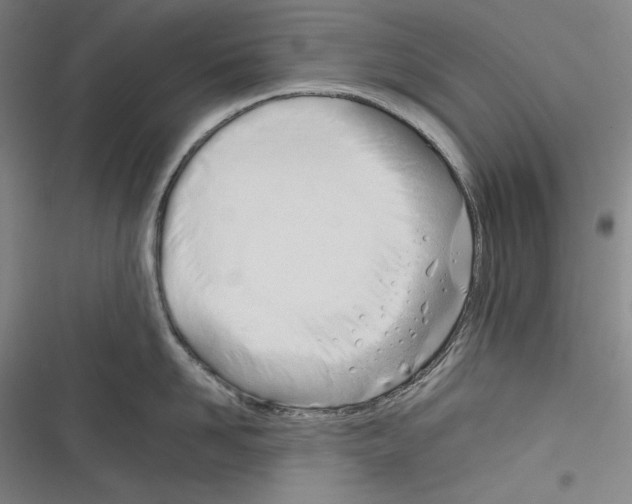 X0000116260958201001110951