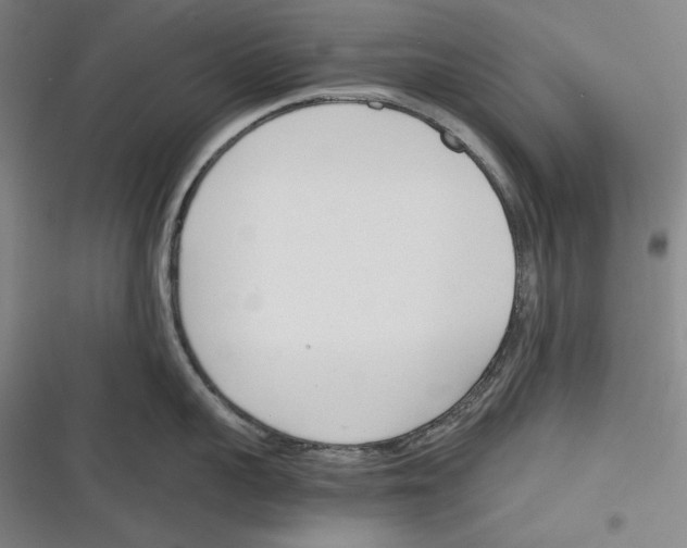 X0000116260959201001110951