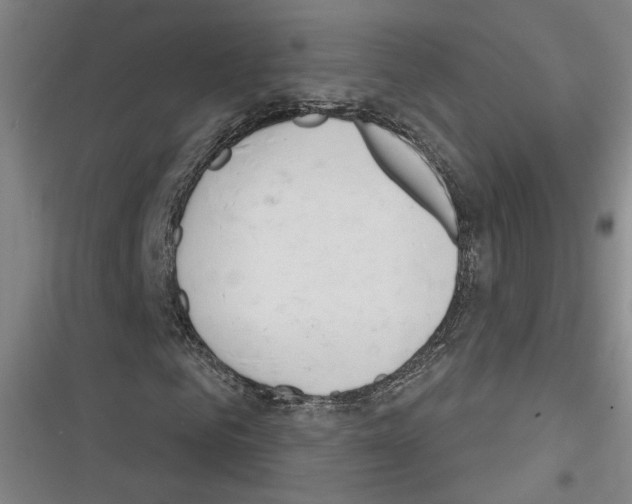 X0000116260961201001110950