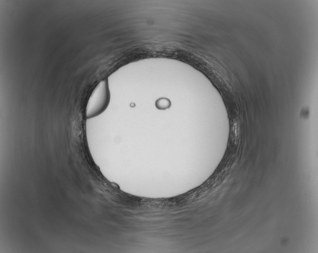 X0000116260963201001110950