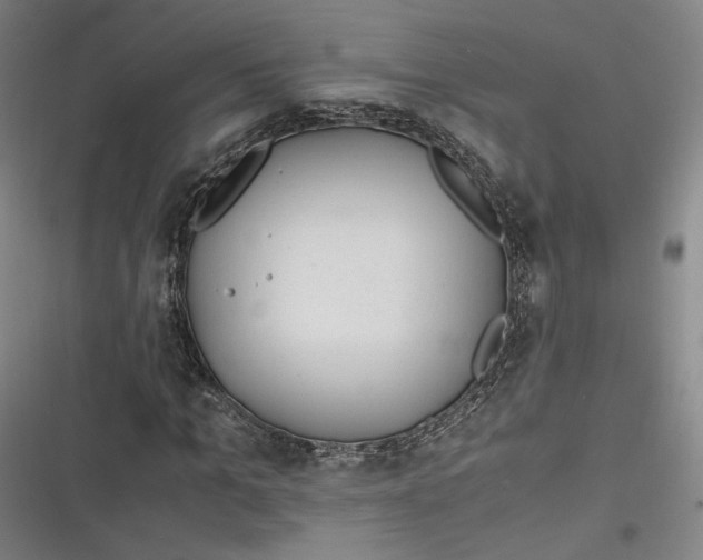 X0000116260965201001110950