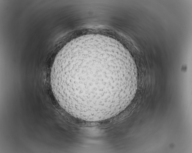 X0000116260966201001110950