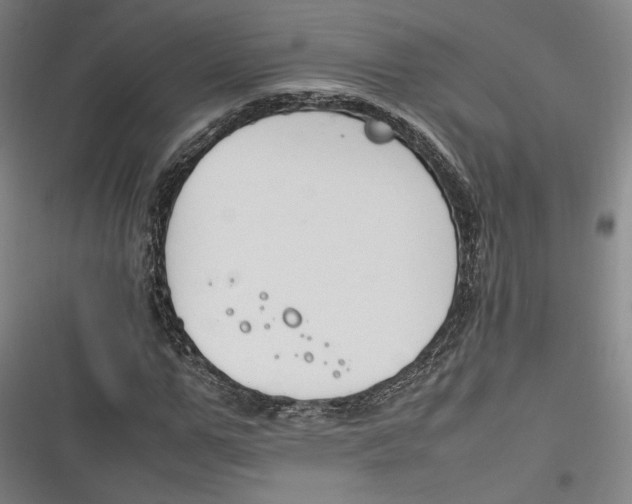 X0000116260967201001110950