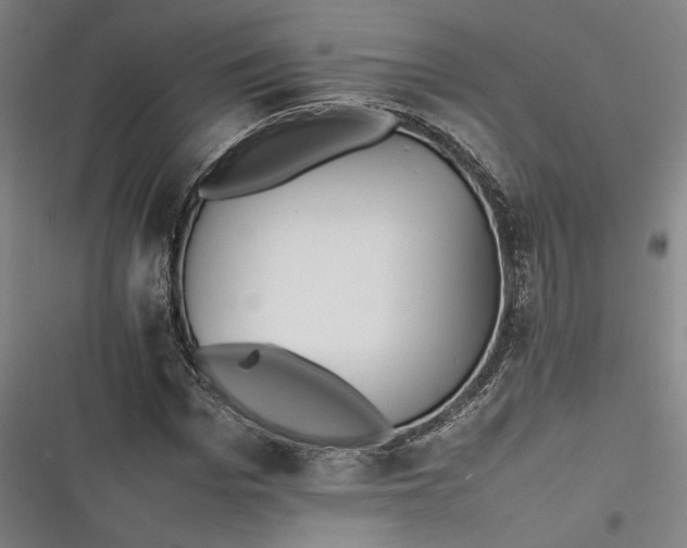 X0000116260969201001110950
