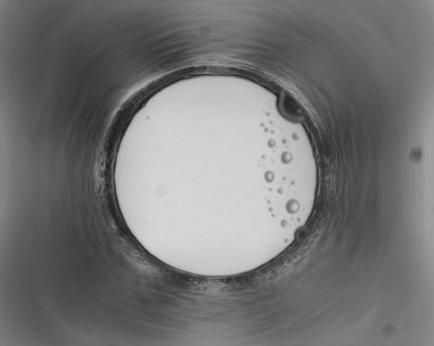 X0000116260971201001110950