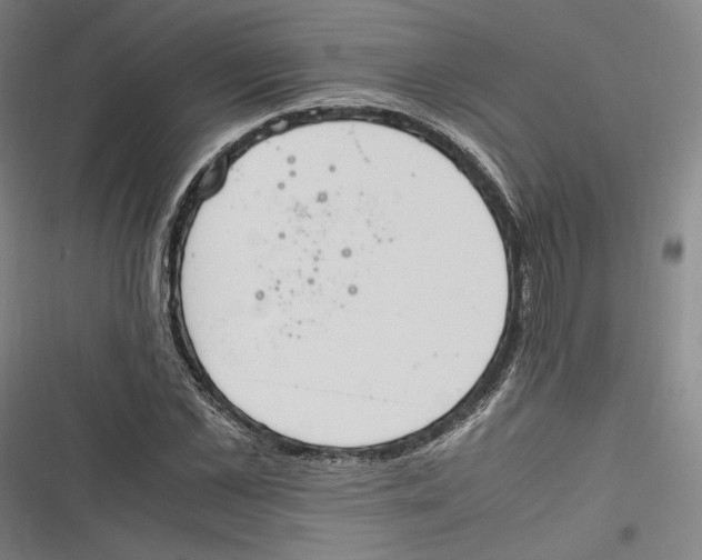 X0000116260973201001110950