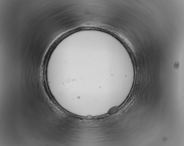 X0000116260976201001110950