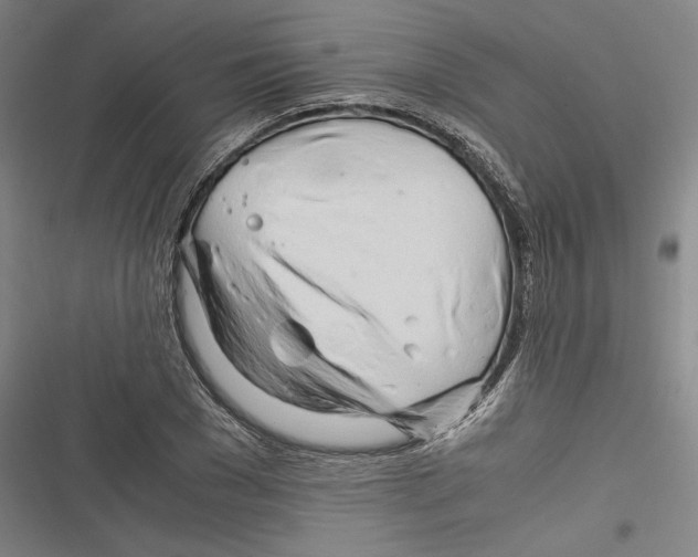 X0000116260977201001110950