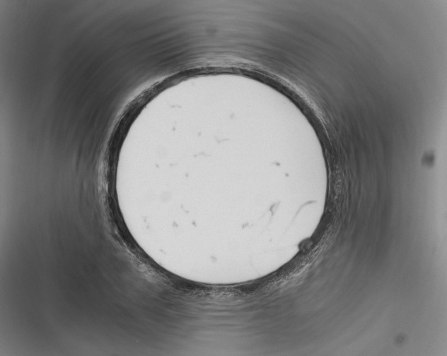 X0000116260979201001110950