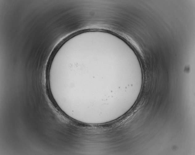 X0000116260980201001110950