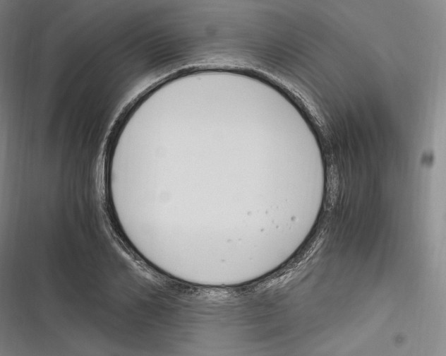 X0000116260982201001110950