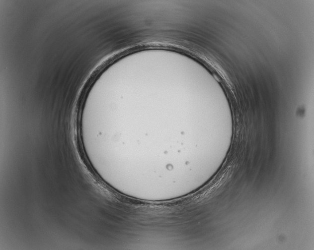 X0000116260984201001110950