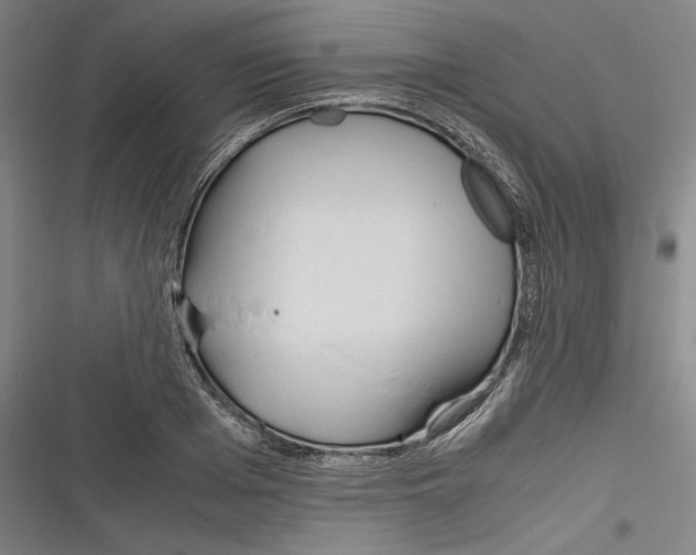 X0000116260985201001110950