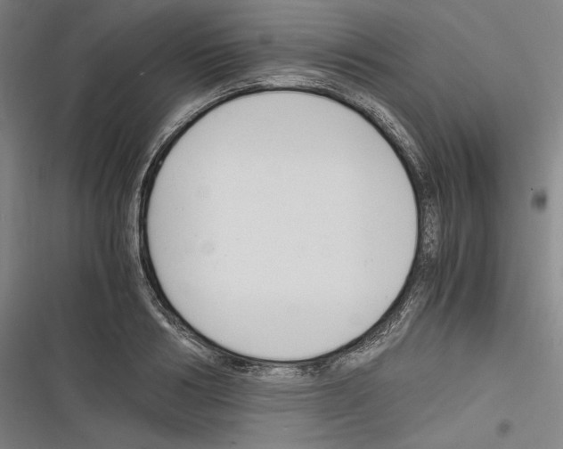X0000116260986201001110950